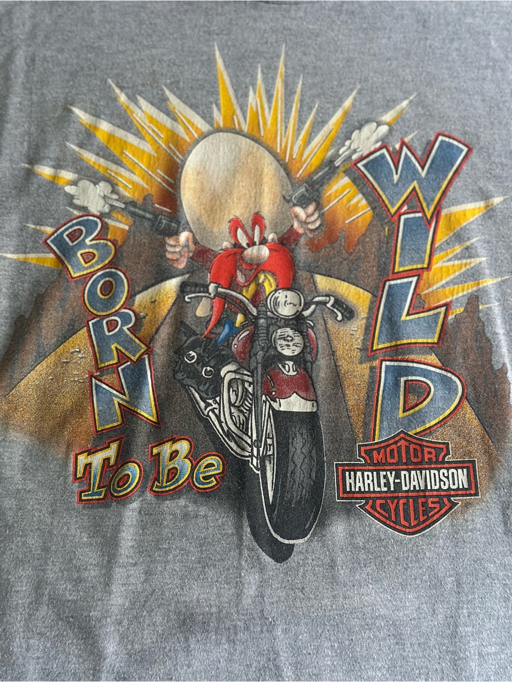 Vintage 2000 Harley Davidson Yosemite Sam Looney Tunes Chicago T Shirt M